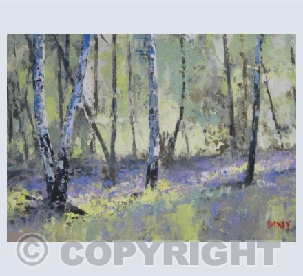 Spring Sunshine with Bluebells
