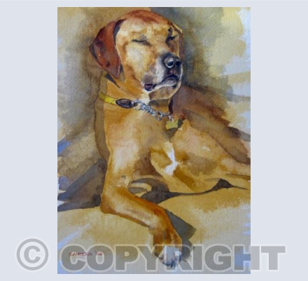 "In somnolent fashion"