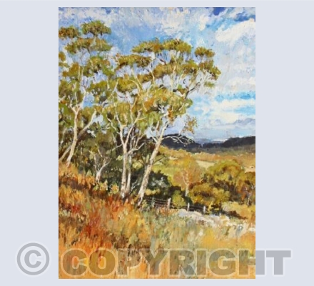 Snowy Mountains View, NSW