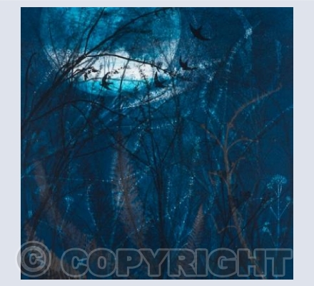 A Glimpse of Shining Beauty