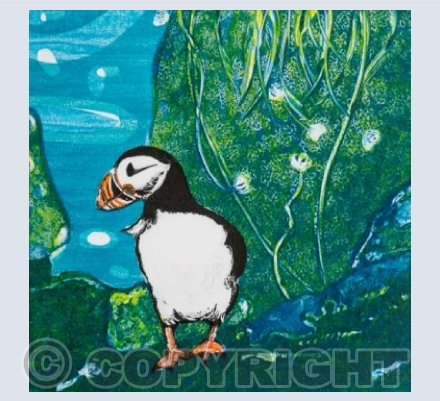 Handa Puffin 3