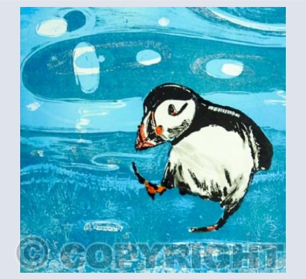 Puffin Skip