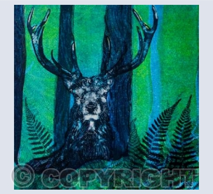 Forest Stag
