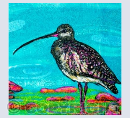 Lone Curlew