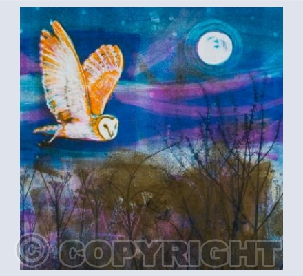 Soft Wings Under the Moon