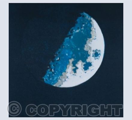 In the Midst of Darkness