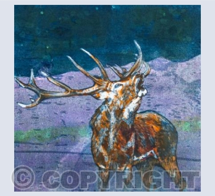The Roar of a King