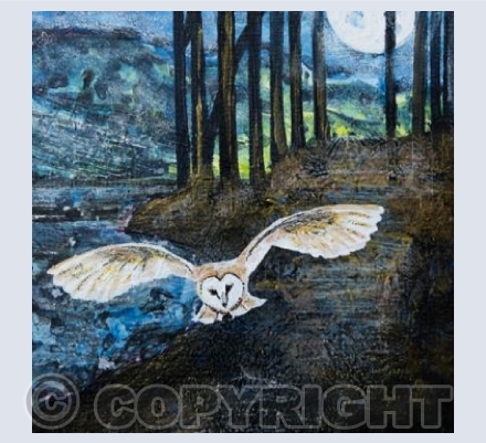 The Moon Lights the Path