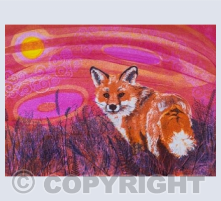 Red Fox Sunrise