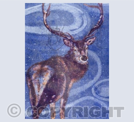 Solitude and Silence