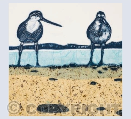 When the Tide is Out