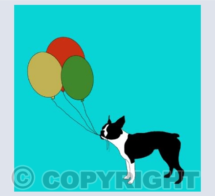 Boston Ballons2
