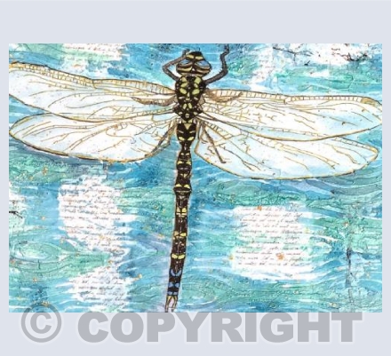Dragon Fly
