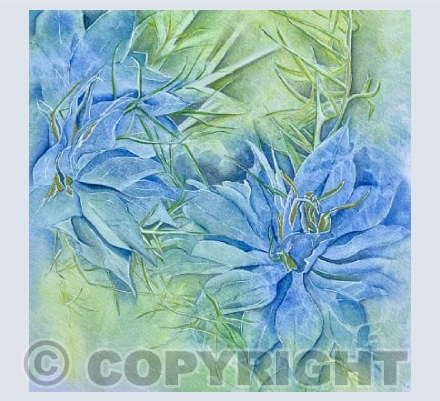 Love in the Mist Flowers