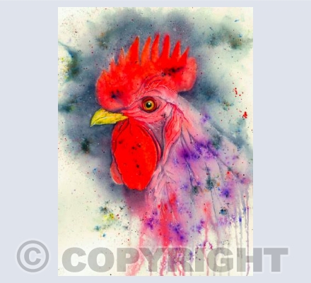 Cockerel
