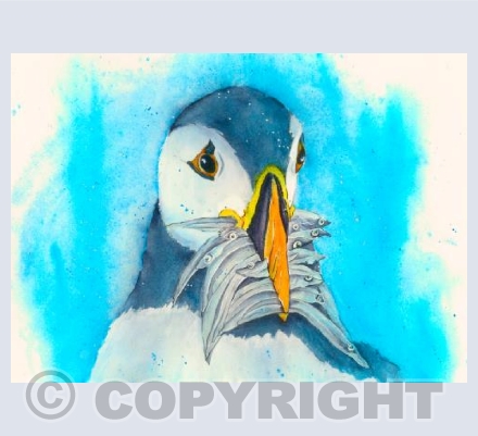 Puffin Lunch