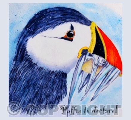 Puffin to declare!