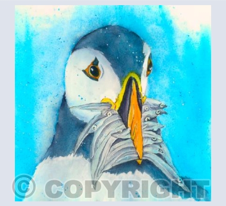 Puffin stop