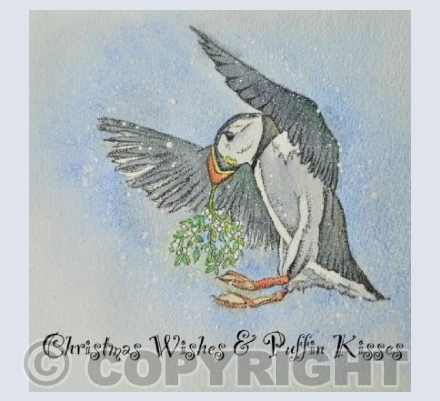 Puffin Kisses