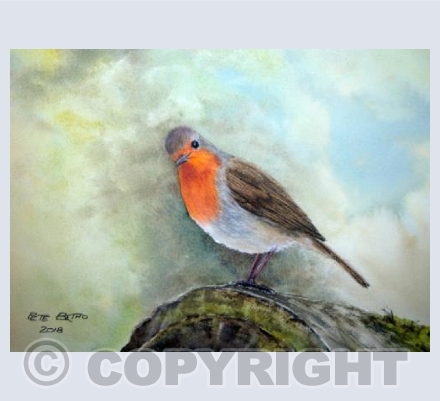 Where's My Mealworms?