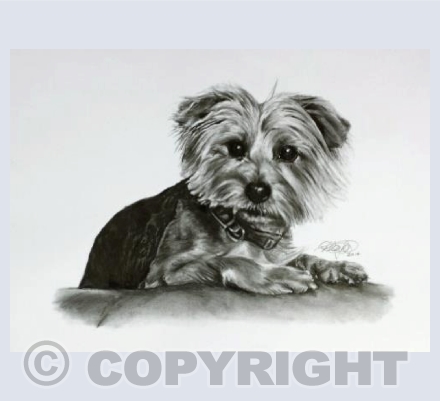 Wendy Greetings Card