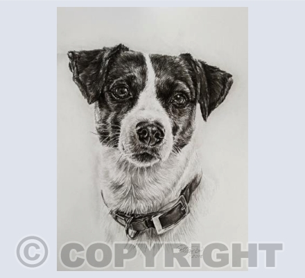 Friendly Face Greetings Card