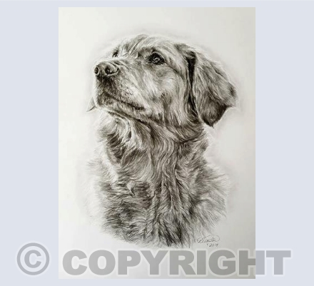 Ruby Greetings Card