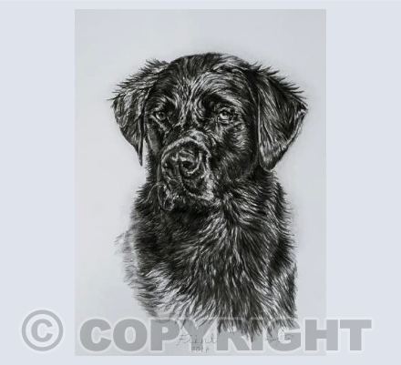 Flint Greetings Card