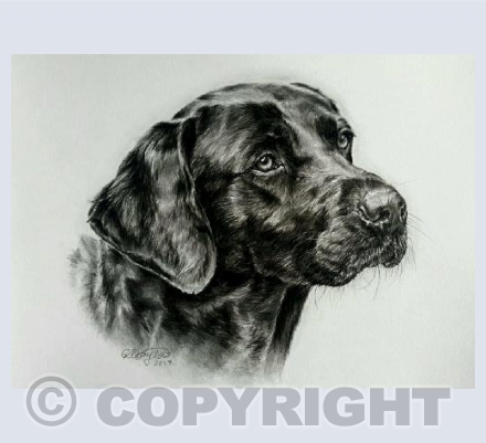 Buddy Greetings Card