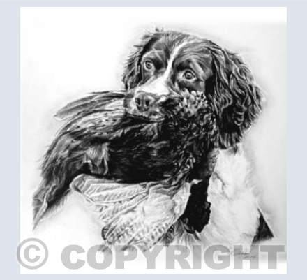 Lucy Greetings Card