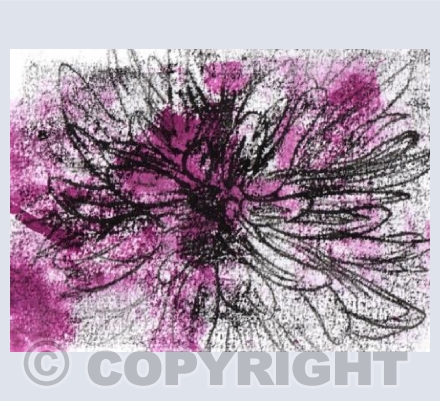 Mono print sketchy bloom