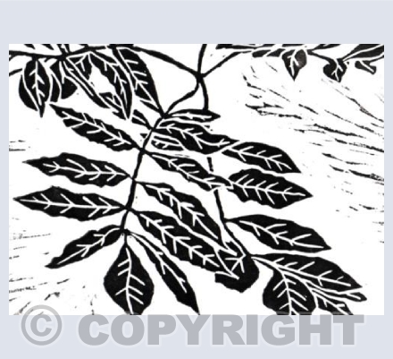 Lino Cut Leaves
