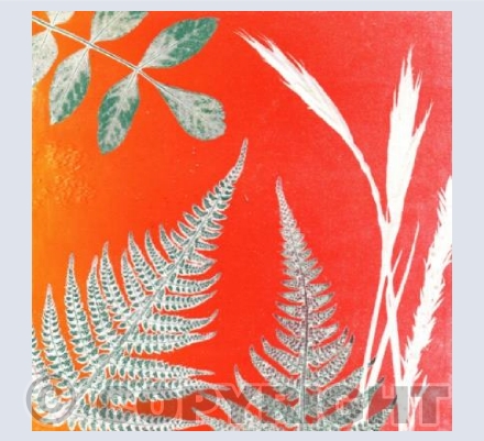 Mixed Mono Print Leaves