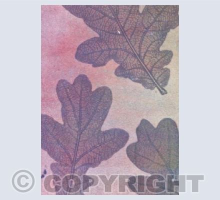 Oak Leaf Mono Print