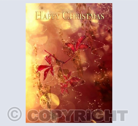 Gold and Red Christmas