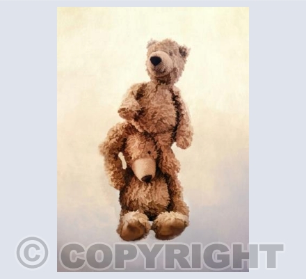 Bears  - Support no caption