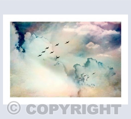 Eleven Flyby