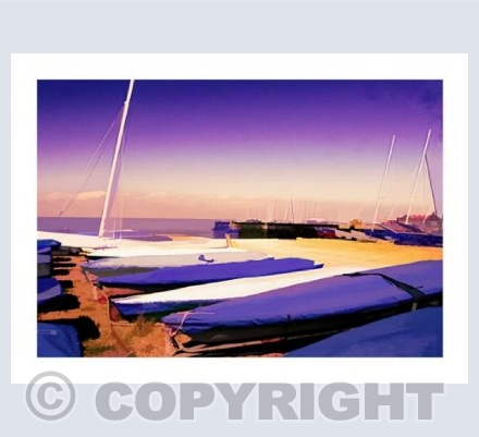 Double Purple Dartmouth