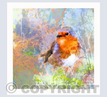Look, its a Robin