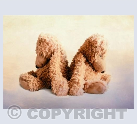 Bears. - Still care no caption