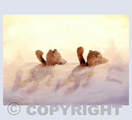 Bears  - Swimming no caption