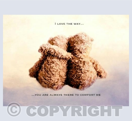 Bears - Comfort
