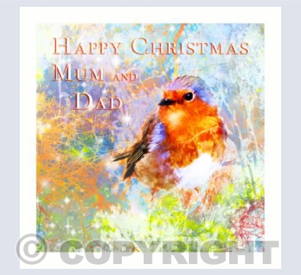 Robin Christmas Mum and Dad