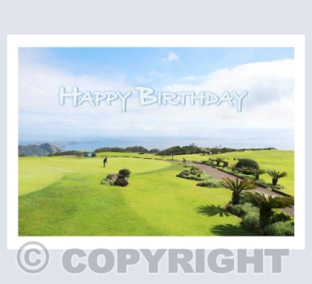Playing Golf HB
