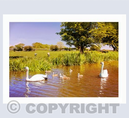 Springtime Canal