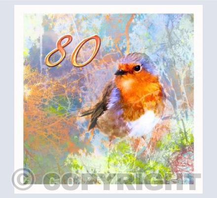 Robin 80th Birthday