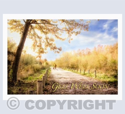 Sunlit Walk Get Well Card