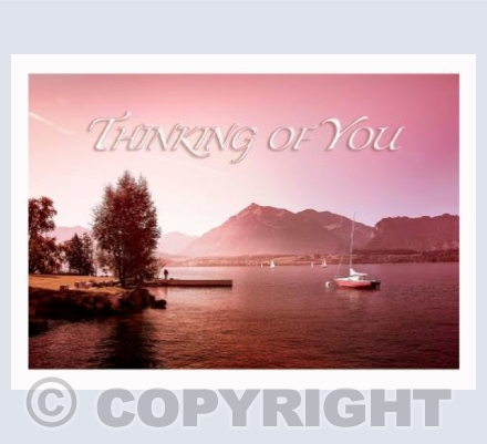 Rose Dawn Thinking of You