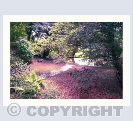 Seat by the Stream