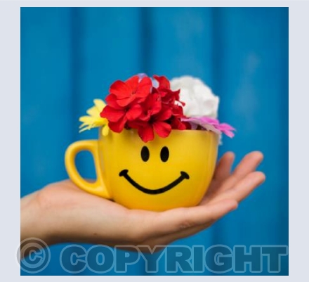 Happy Flowers